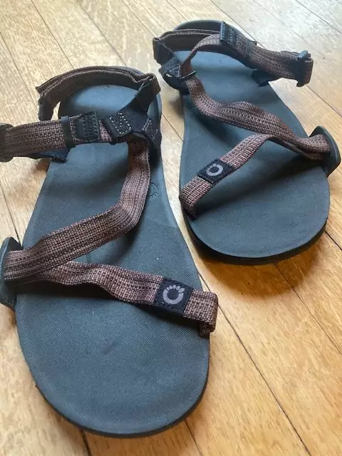 Xero Shoes Z-Trek Sandals - Women's | REI Co-op